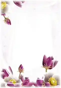 Foto-effetti della categoria Cornici da donna № 124368