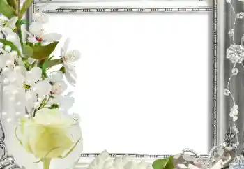 Foto-effetti della categoria Cornici da donna № 124413