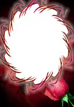 Foto-effetti della categoria Cornici da donna № 125687