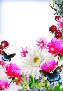 Foto-effetti della categoria Cornici da donna № 125845