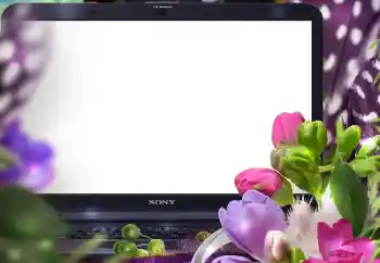 Foto-effetti della categoria Cornici da donna № 125847