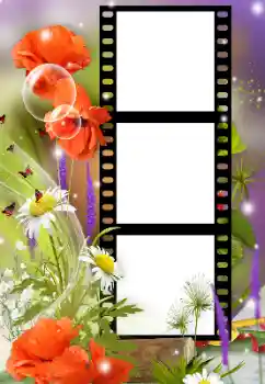 Foto-effetti della categoria Cornici da donna № 125912