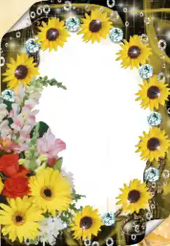 Foto-effetti della categoria Cornici da donna № 125921