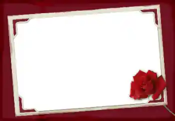 Foto-effetti della categoria Cornici da donna № 125924