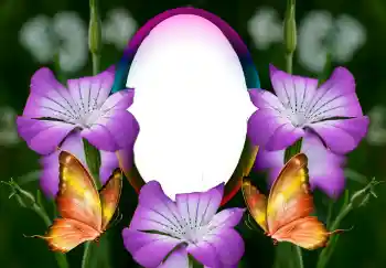 Foto-effetti della categoria Cornici da donna № 126946