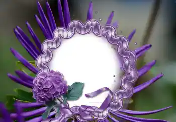 Foto-effetti della categoria Cornici da donna № 126947