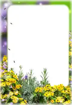 Foto-effetti della categoria Cornici da donna № 127113