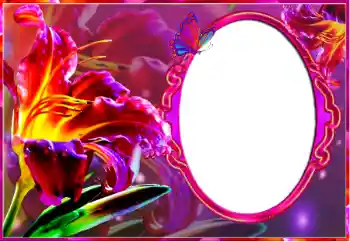 Foto-effetti della categoria Cornici da donna № 127185