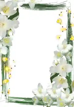 Foto-effetti della categoria Cornici da donna № 127290