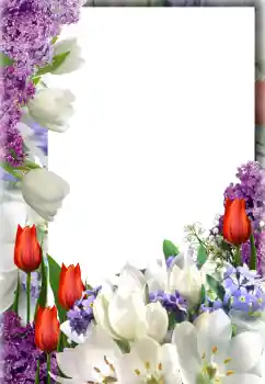 Foto-effetti della categoria Cornici da donna № 127300