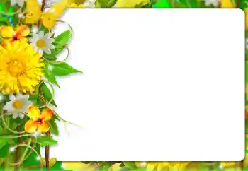 Foto-effetti della categoria Cornici da donna № 127303