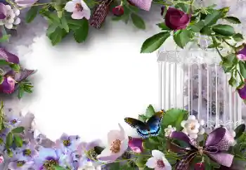 Foto-effetti della categoria Cornici da donna № 127304