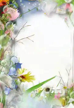 Foto-effetti della categoria Cornici da donna № 127305