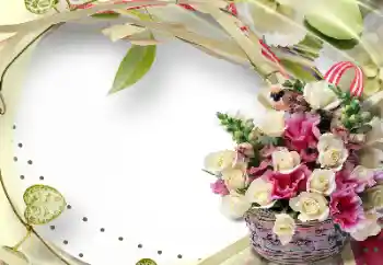 Foto-effetti della categoria Cornici da donna № 127306