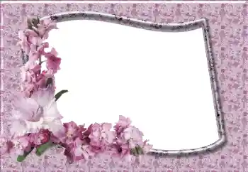 Foto-effetti della categoria Cornici da donna № 12831 Foto-effetti della categoria Cornici da donna № 12831