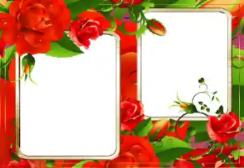 Foto-effetti della categoria Cornici da donna № 128335