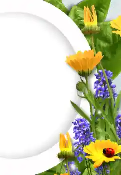 Foto-effetti della categoria Cornici da donna № 128372