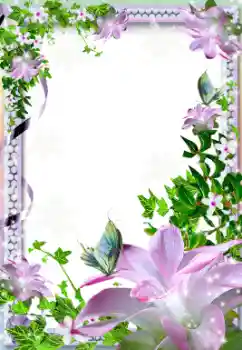 Foto-effetti della categoria Cornici da donna № 12842 Foto-effetti della categoria Cornici da donna № 12842