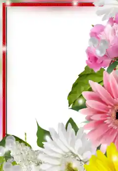 Foto-effetti della categoria Cornici da donna № 128553