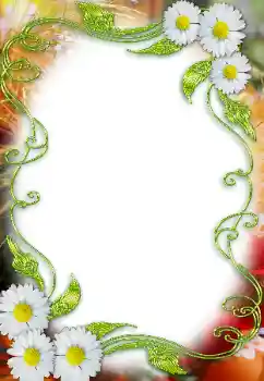Foto-effetti della categoria Cornici da donna № 12859 Foto-effetti della categoria Cornici da donna № 12859