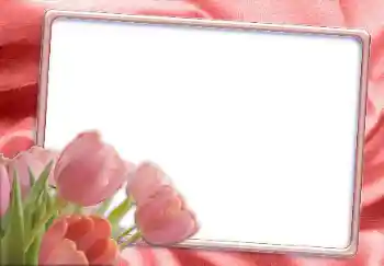 Foto-effetti della categoria Cornici da donna № 12865 Foto-effetti della categoria Cornici da donna № 12865