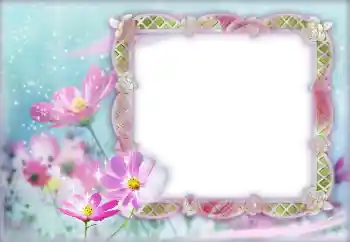 Foto-effetti della categoria Cornici da donna № 12888