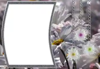 Foto-effetti della categoria Cornici da donna № 12890