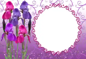 Foto-effetti della categoria Cornici da donna № 12894