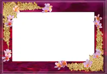 Foto-effetti della categoria Cornici da donna № 12896