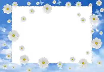 Foto-effetti della categoria Cornici da donna № 12899