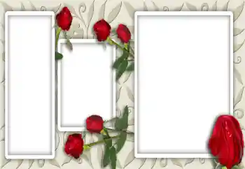 Foto-effetti della categoria Cornici da donna № 12947