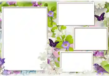 Foto-effetti della categoria Cornici da donna № 129851