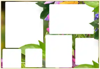 Foto-effetti della categoria Cornici da donna № 129852