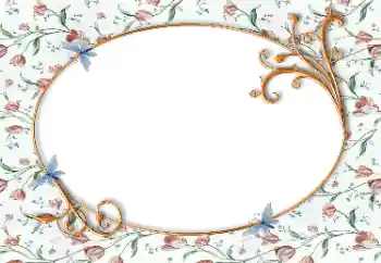 Foto-effetti della categoria Cornici da donna № 130382