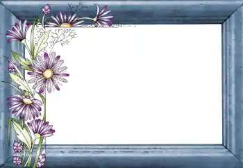 Foto-effetti della categoria Cornici da donna № 130781