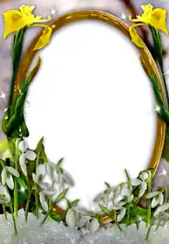 Foto-effetti della categoria Cornici da donna № 131002