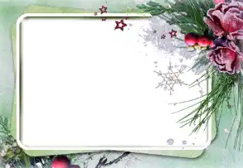 Foto-effetti della categoria Cornici da donna № 131195