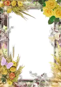 Foto-effetti della categoria Cornici da donna № 131202