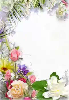 Foto-effetti della categoria Cornici da donna № 131210