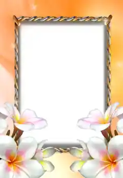 Foto-effetti della categoria Cornici da donna № 131367