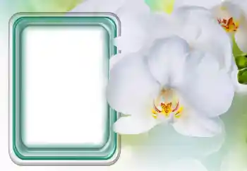 Foto-effetti della categoria Cornici da donna № 131485