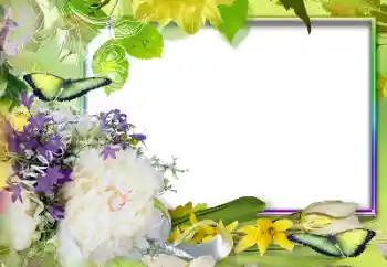 Foto-effetti della categoria Cornici da donna № 131607