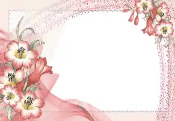 Foto-effetti della categoria Cornici da donna № 131821