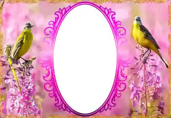 Foto-effetti della categoria Cornici da donna № 132879