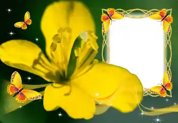 Foto-effetti della categoria Cornici da donna № 132883