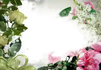 Foto-effetti della categoria Cornici da donna № 133078