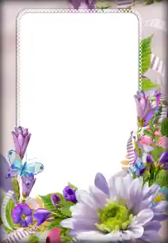 Foto-effetti della categoria Cornici da donna № 133082