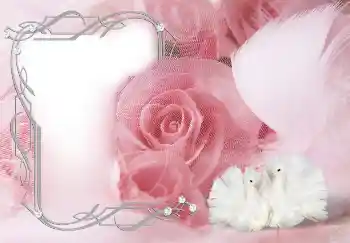 Foto-effetti della categoria Cornici da donna № 133313