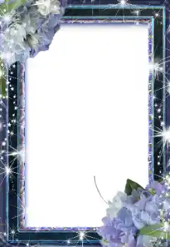 Foto-effetti della categoria Cornici da donna № 134463