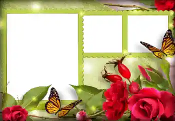 Foto-effetti della categoria Cornici da donna № 134497